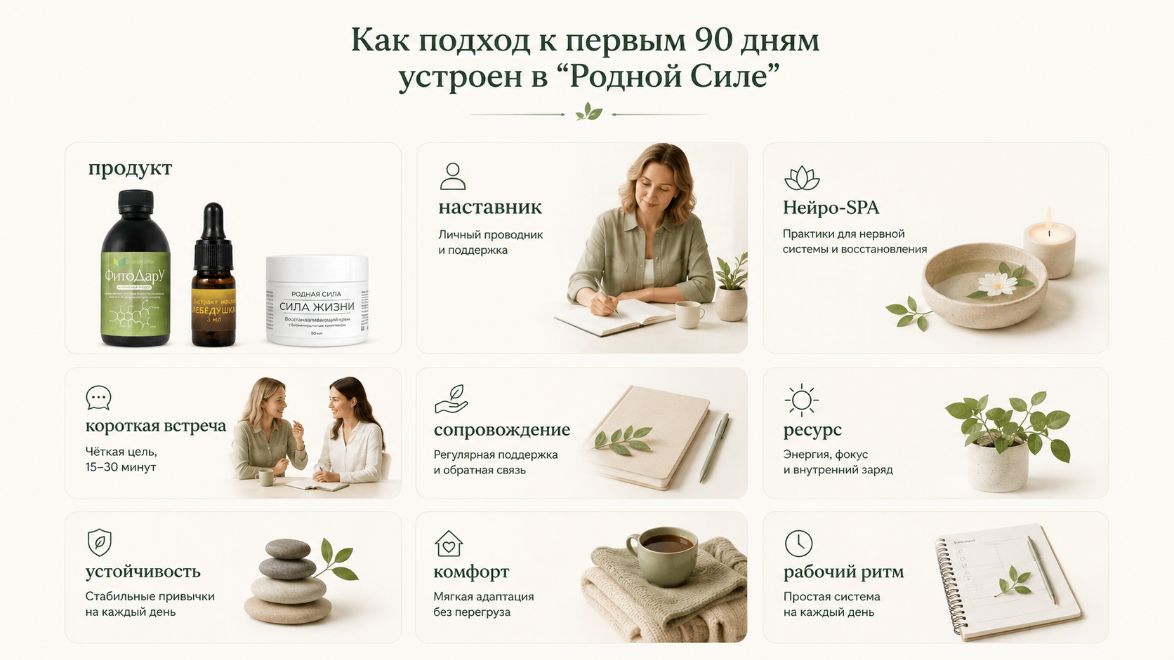 Подход «Родной Силы» к старту новичка: продукт, наставник, живые форматы, сопровождение и устойчивый ритм