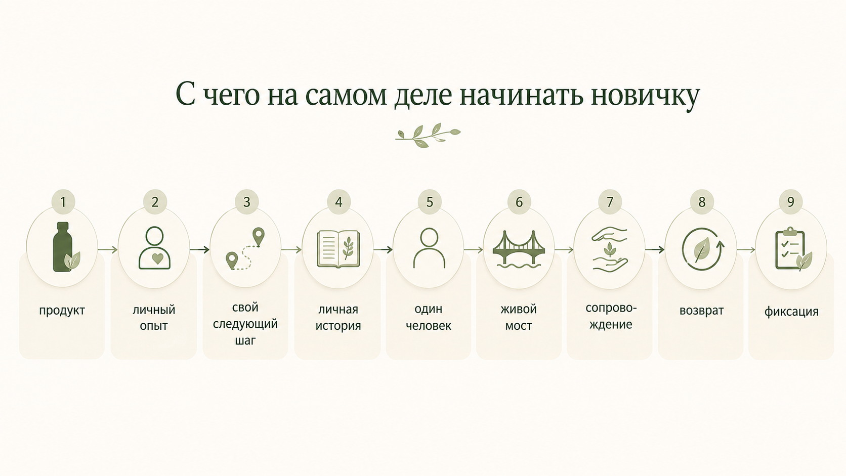Первые шаги новичка в сетевом маркетинге: продукт, личный опыт, следующий шаг, живой мост, сопровождение и фиксация