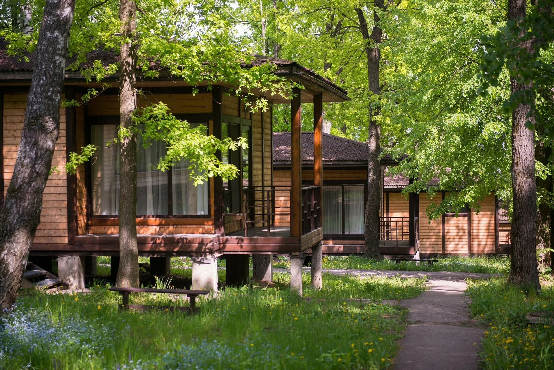 Семинар лидеров «Родная Сила» в Foresta Festival Park