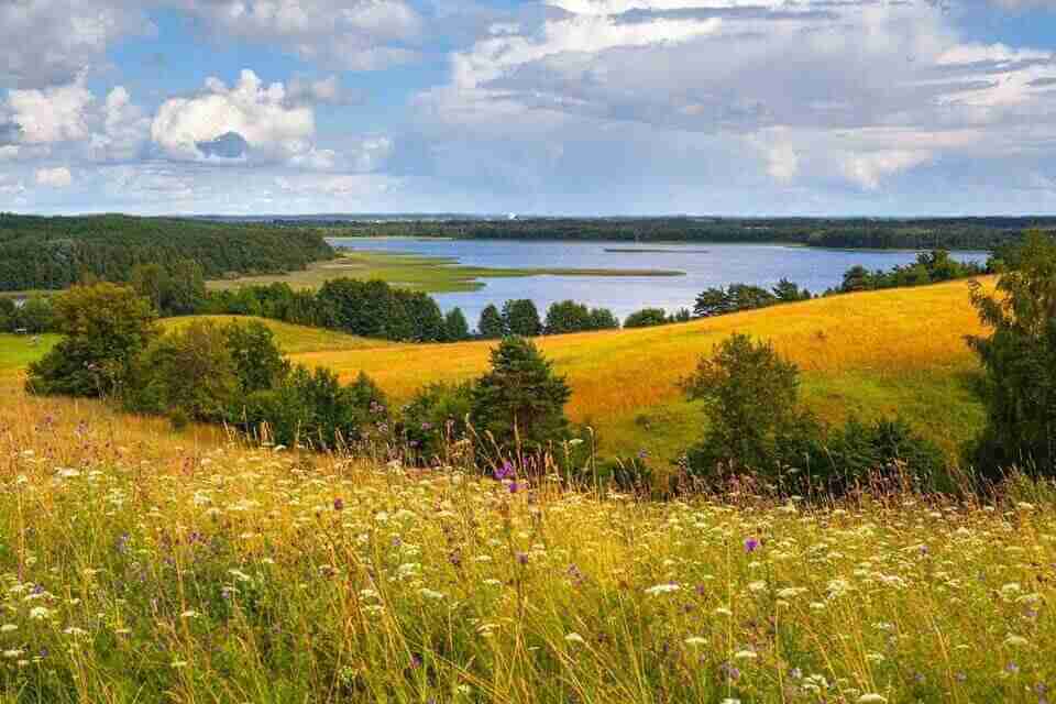 Тренинг по продажам и переговорам – развитие бизнес-навыков
